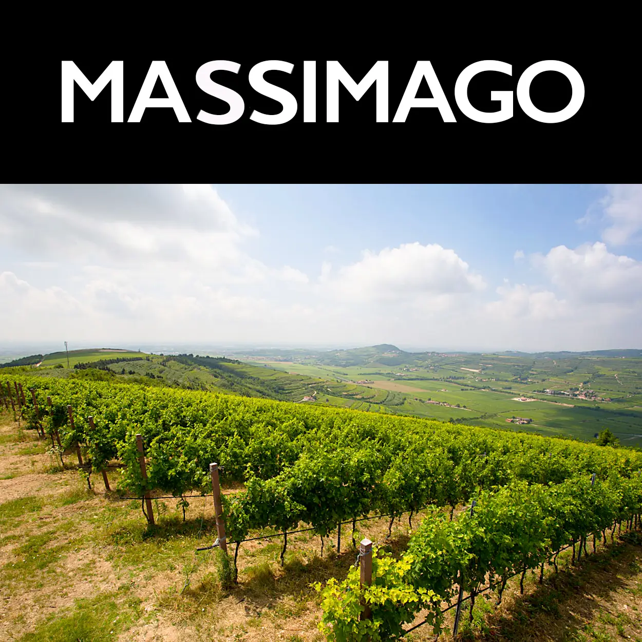 Massimago vineyards in the Mezzane Valley, Valpolicella